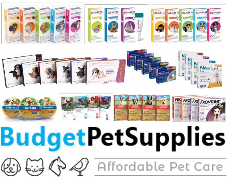 Latest Offers & Deals | BudgetPetSupplies.co.za